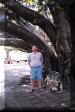rustybanyan.jpg (56204 bytes)