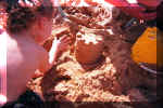 ryansandcastle.jpg (77959 bytes)