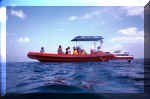 snorkelingraft.jpg (36080 bytes)