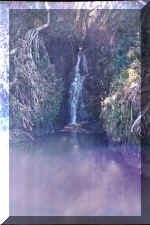 waterfallwedding.jpg (58154 bytes)